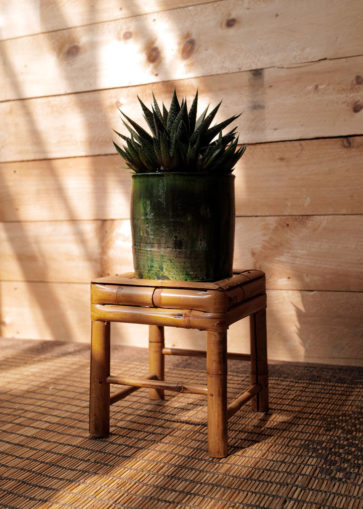 Bamboo Plant Stand - Slow Roads