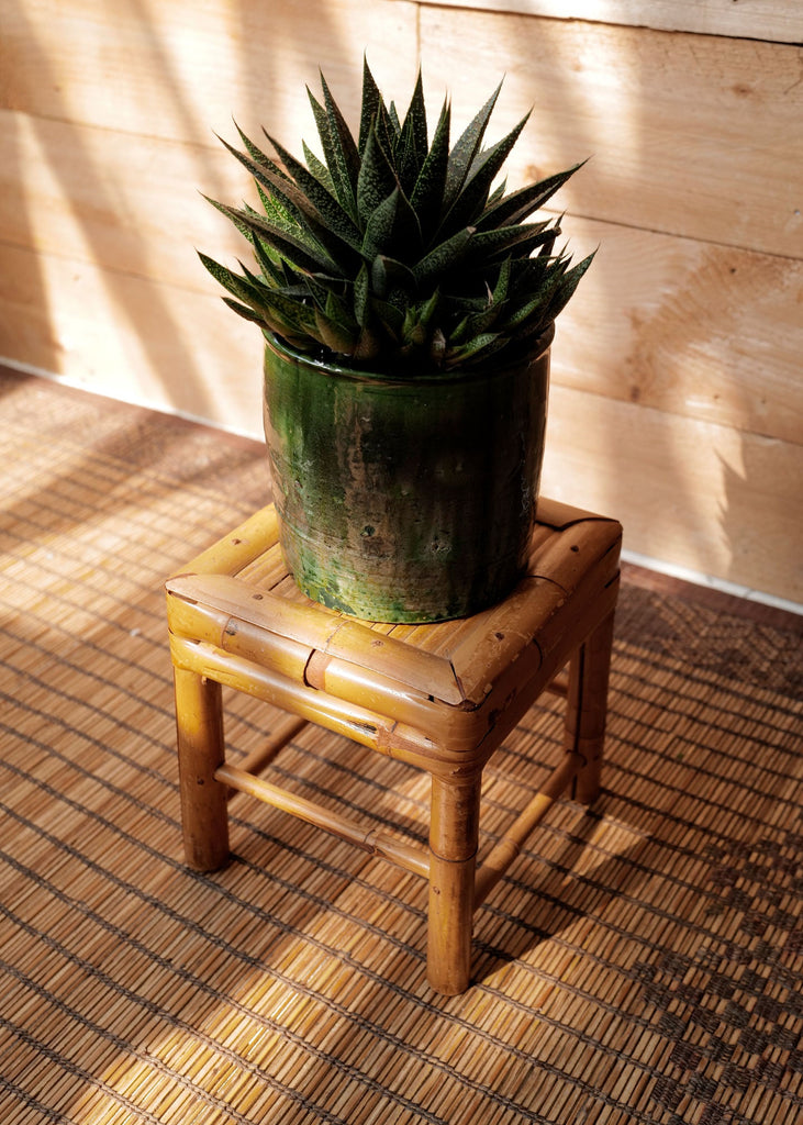 Bamboo Plant Stand - Slow Roads