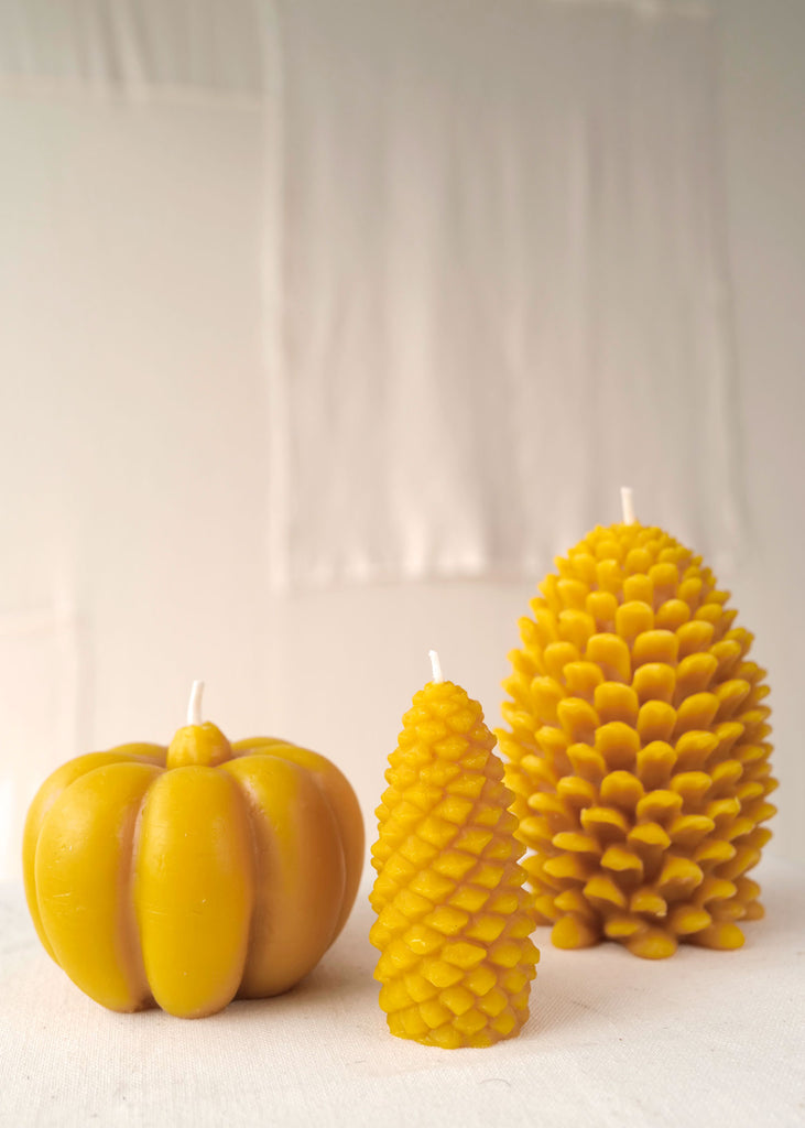 Beeswax Pumpkin Candle - Slow Roads