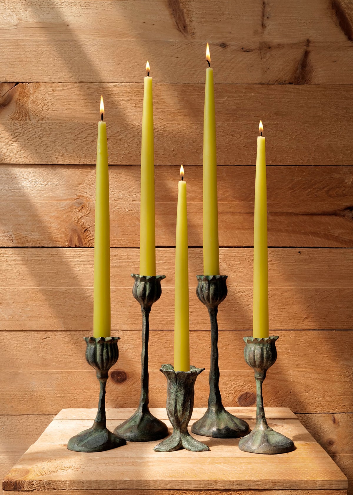 Bronze Botanical Candlesticks - Slow Roads
