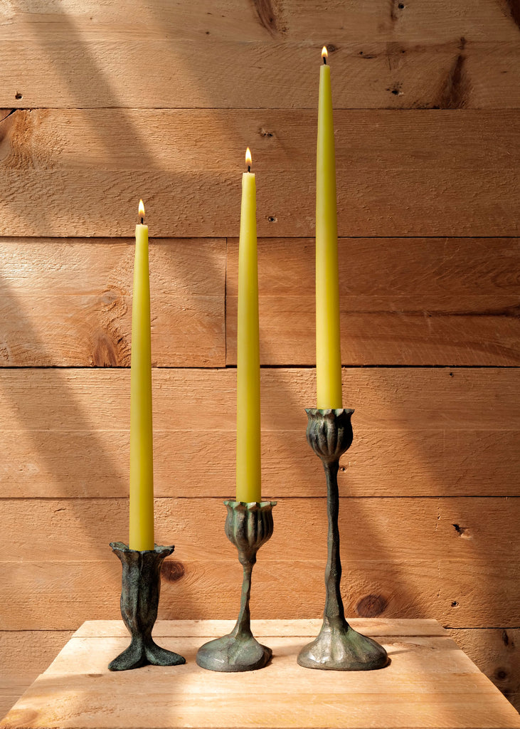 Bronze Botanical Candlesticks - Slow Roads