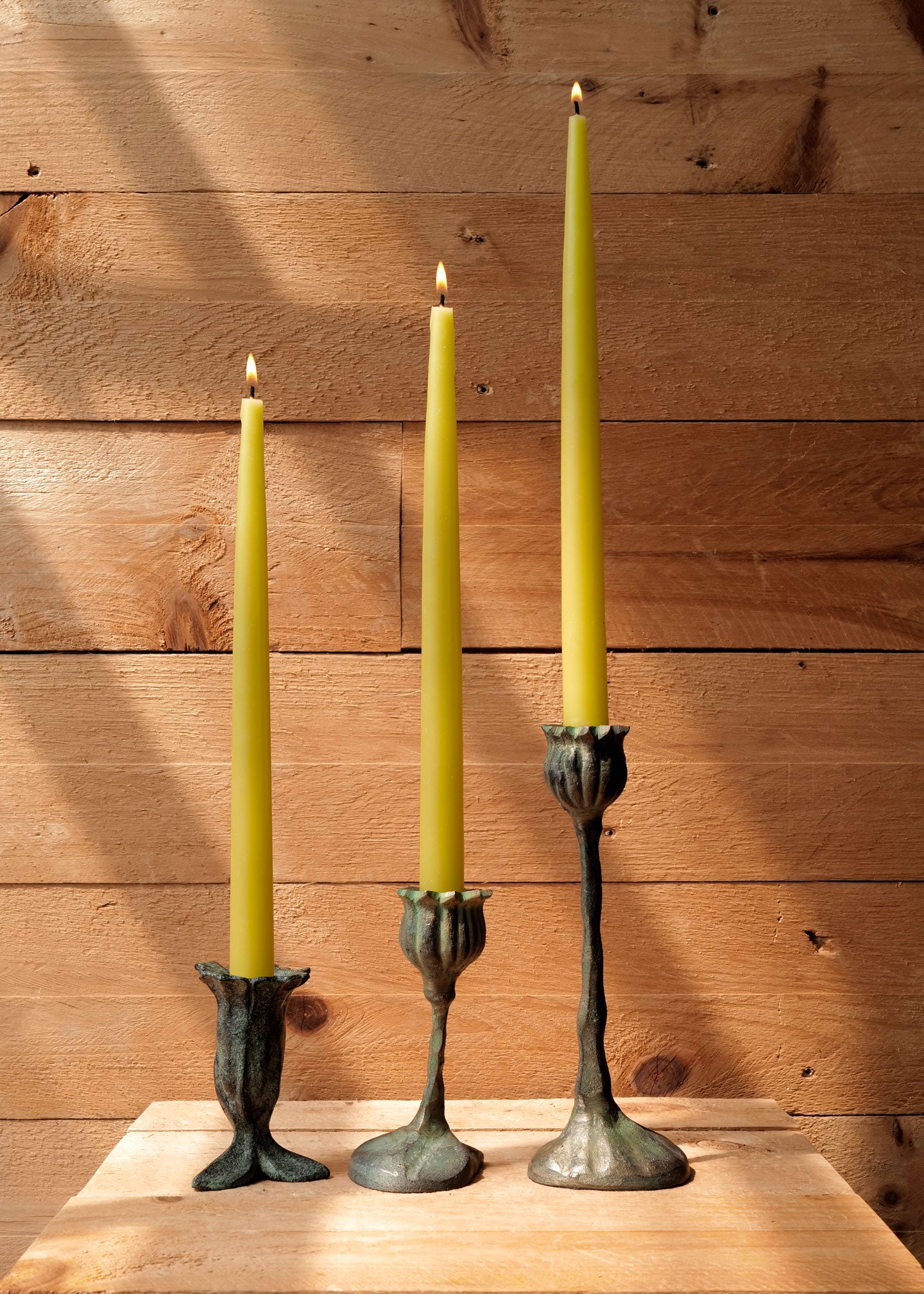 ☆botanical candle holder Botanical Candle Holder | Pottery Barn