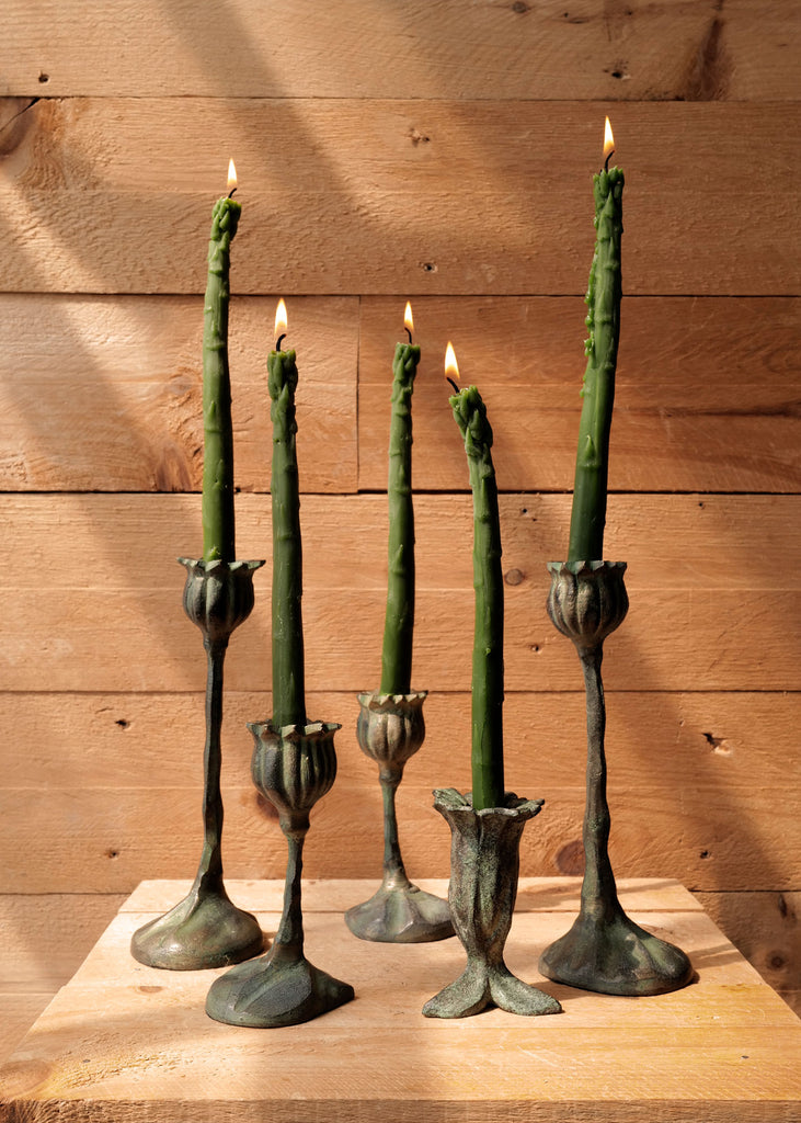 Bronze Botanical Candlesticks - Slow Roads