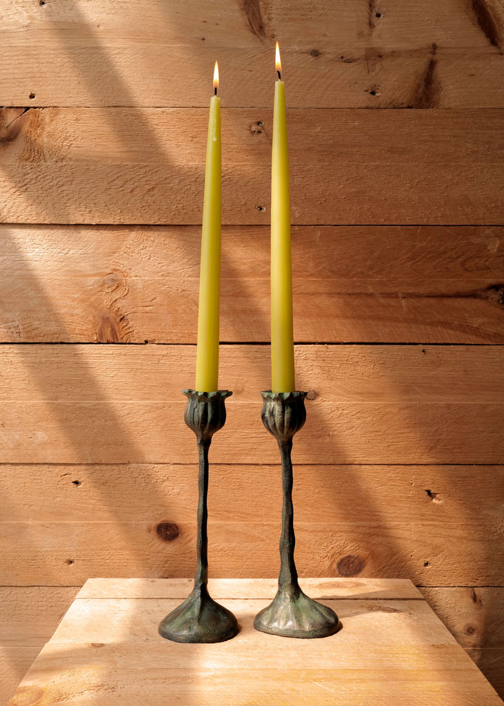 Bronze Botanical Candlesticks - Slow Roads