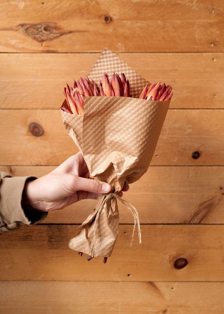 Dried Protea Bundle - Slow Roads