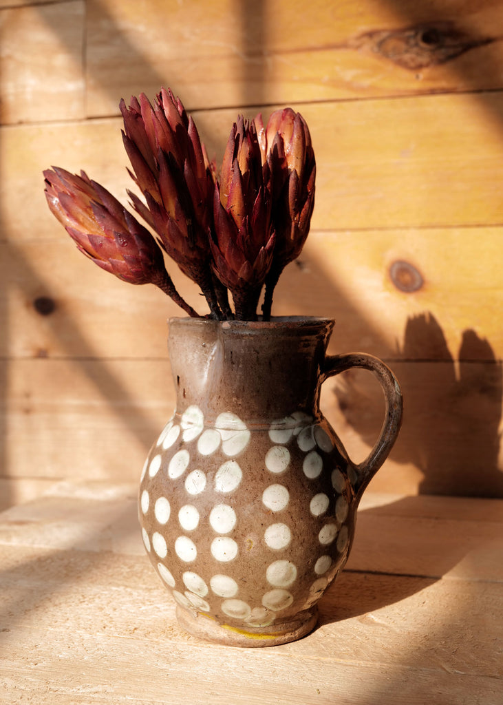 Dried Protea Bundle - Slow Roads