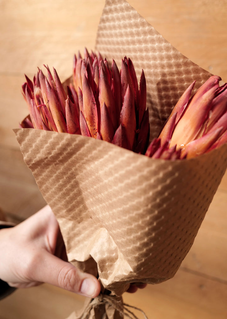 Dried Protea Bundle - Slow Roads