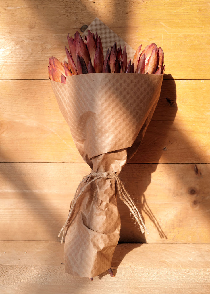 Dried Protea Bundle - Slow Roads