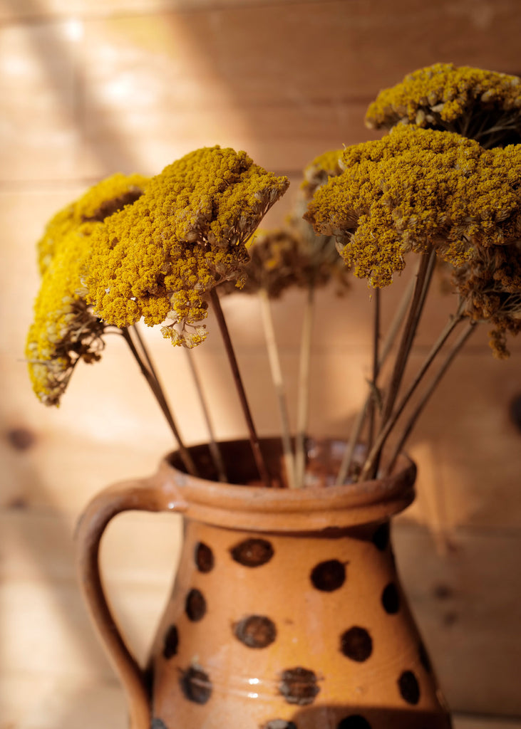 Golden Yarrow Bundle - Slow Roads