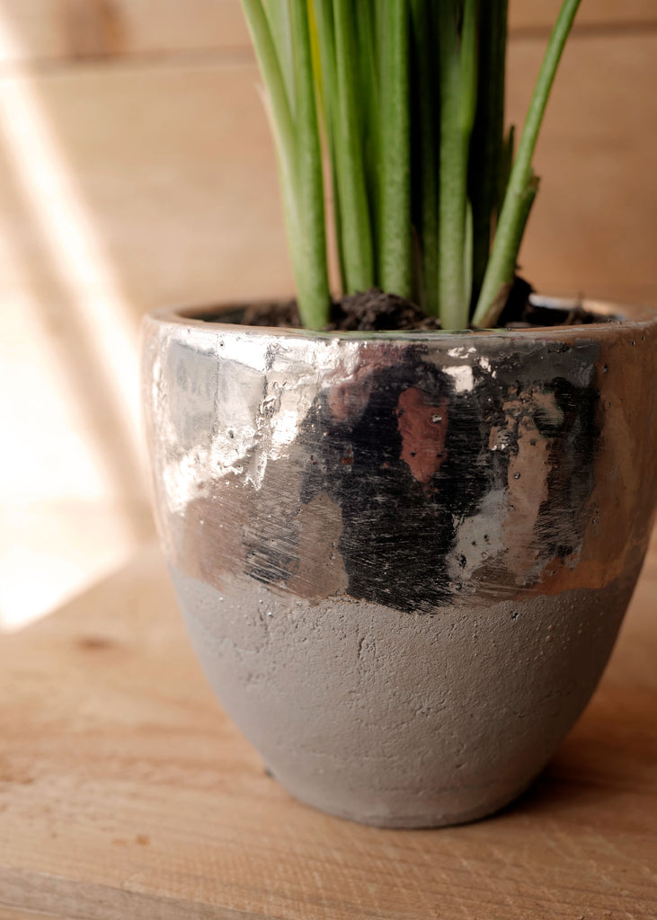 Mica Silver Planters - Slow Roads