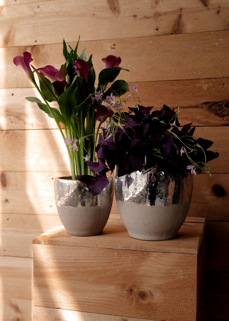 Mica Silver Planters - Slow Roads